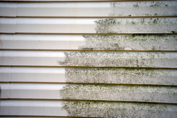 Best Custom Trim and Detailing for Siding  in Keshena, WI